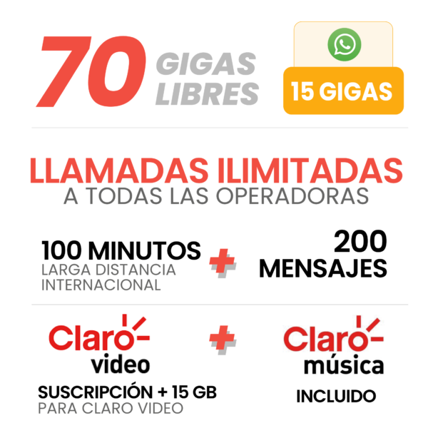 PLAN SIN LÍMITES PREMIUM PLUS